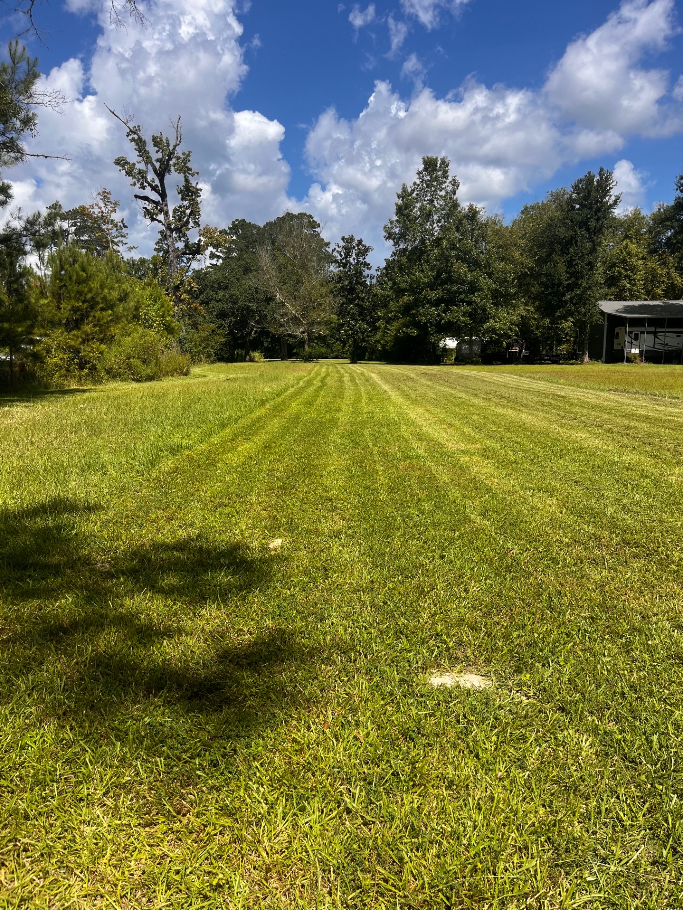 EZgrassla recent lawn job 1
