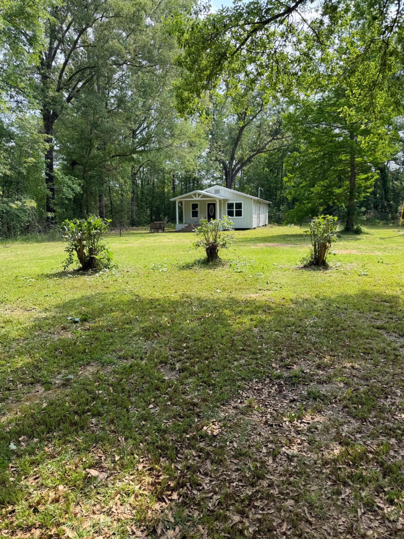 EZgrassla recent lawn job 3